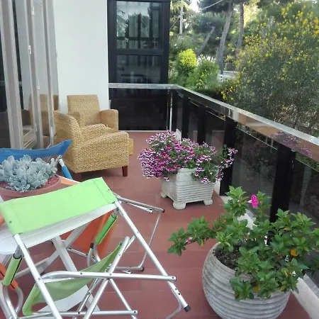 Bed and breakfast Dos Almas